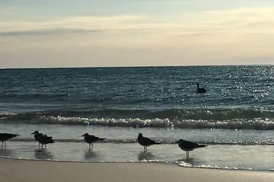 Image de Inlet Reef Club 612 - Condo de luxe avec vue sur la plage à Destin