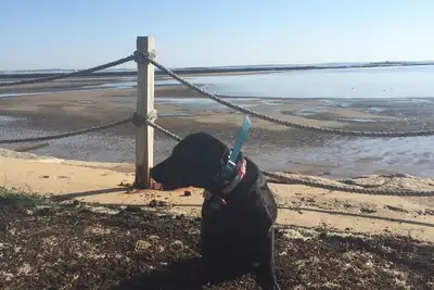 Image de Propriété face à l'océan, plage privée, à 15 pieds de l'océan