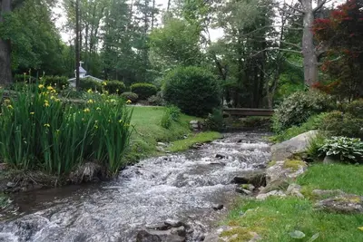 Image de Le plus mignon Cottage Creekside! Superficie à explorer, niveau 1 confortable! Demandez des promotions!