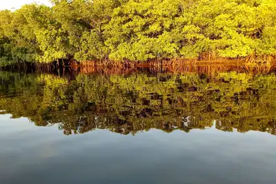 Image de Retraite sur la rivière Myakka