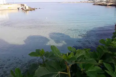 Image de la terrasse du Salento