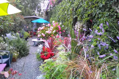 Image de Moon Song 2 bdm Midtown Corporate & Vacation près de l'aéroport