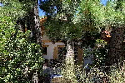 Image de Le Cap ferret entre Bassin et Océan  Villa 4 chambres