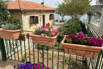 Image de Petit coin de paradis