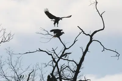 Image de Chasse, pêche, maison de vacances en famille