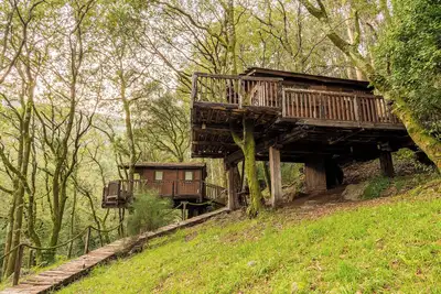 Image de Cabanes dans les arbres