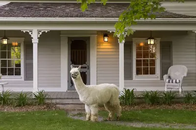 Image de Maison de ferme du siècle sur le travail Alpaca Farm dans le comté de Prince Edward