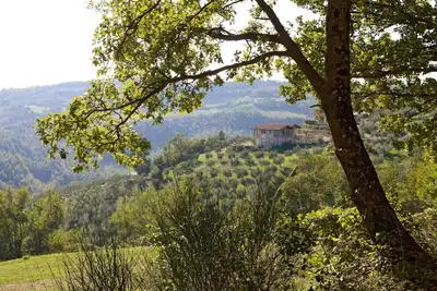 Image de Villa En Pierre Sur Le Haut D'Une Colline D'Olives Avec Piscine