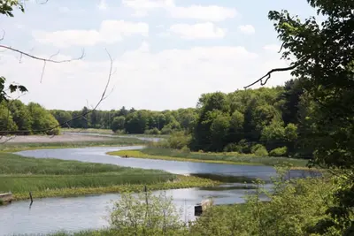 Image de Dans la retraite des bois, Llc