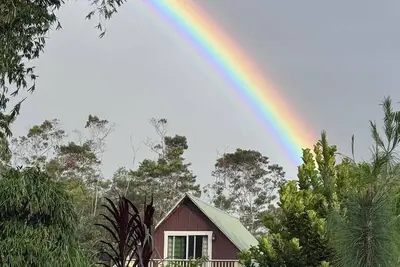 Image de Cascade enchantée céleste à Hilo