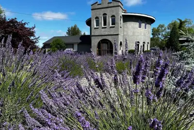 Image de Château de lavande Sequim
