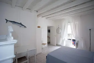 Image de Casina eoliana à Marina Corta (la comtesse)