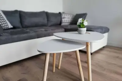 ★Appartement Cosy★ proche Météo France et Airbus★