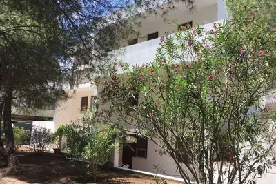 Image de Appartements Collins