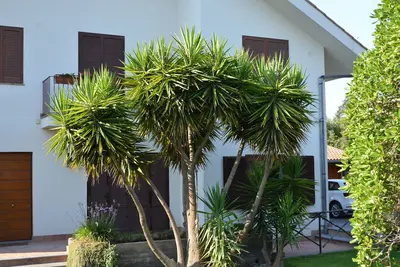 Image de Les vacances Fastuca