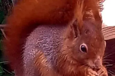 Image de La retraite idéale et calme et une bonne base pour toutes les commodités de la marche et de l'activité