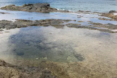 Image de Au dessus de l'océan avec terrasse privée et jacuzzi