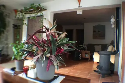 Image de Belle maison au bord de la plage avec grand salon, 2 chambres et beau jardin