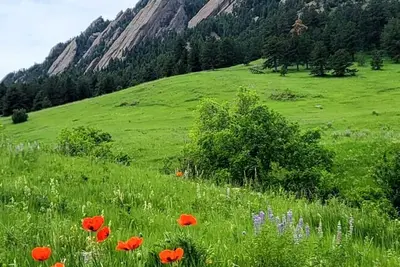 Image de Charmik_, . ng Chamm1w. utauqu. un chalet - Perfwecmt for Coupl. es