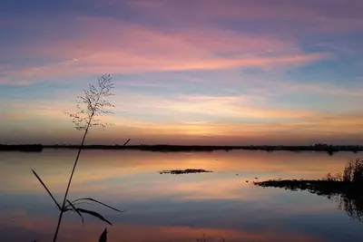 Image de Adorable escapade en Floride