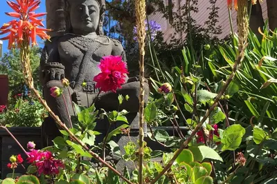 Image de Jardin, Vue, Russian Hill / Fisherman Wharf Retreat