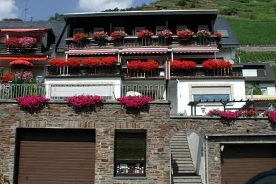 Image de Appartement avec balcon et vue directe sur la Moselle, stationnement non-fumeurs en face de la maison