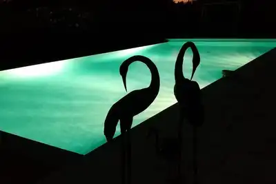Image de magnifique appartement en rez-de-villa avec piscine à débordement 4* et sauna