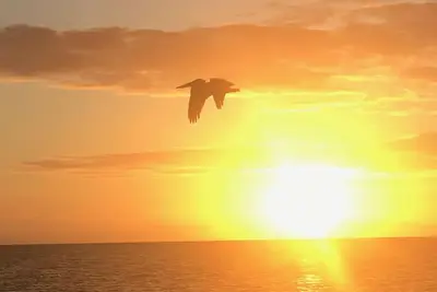 Image de Breezy Beach Waterfront Home à Port Antigua