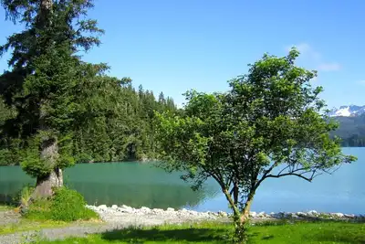 Image de Bear Country Lodge # 2