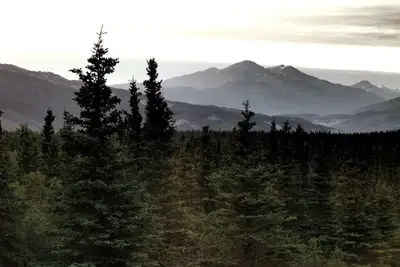 Image de Denali Wildlife Grizzly Cabin Luxury avec une touche de rustique