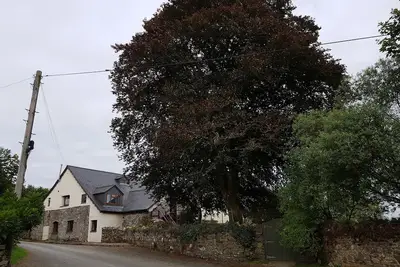 Image de Robins Nest - Au pied de Bodmin Moor