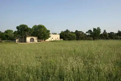 Image de Mas ancien rénové contemporain, piscine privée, luxueux, 8 personnes