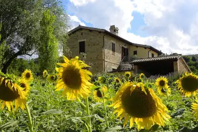Image de Confortable, agréable, appartement, vue magnifique sur les collines vertes de l'Ombrie et Assise