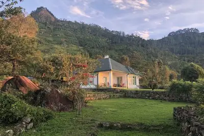 Image de Pension complète dans un domaine de thé bio haut dans les collines - chalet entier avec personnel