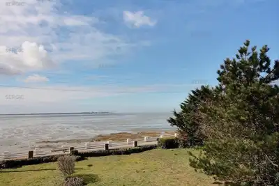 Image de Annonce de professionnel - Bel appartement en Front de Mer