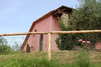 Image de Bere Regis: Valdonica - ferme parmi les oliveraies et les vignes