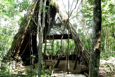Image de le loft jungle Barefoot