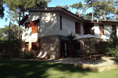 Image de villa, dans la pinède, près de la plage