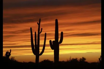 Image de S'Amuser Au Soleil D'Arizona!