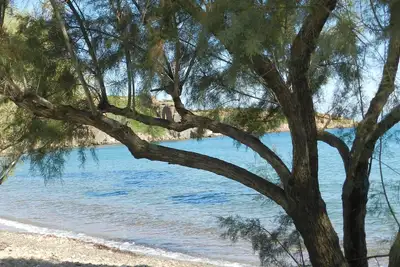 Image de Fotis appartements et maison
