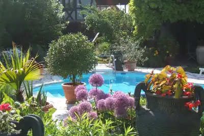 Image de Gite dans demeure de charme au coeur de Alsace Sundhouse un jardin et piscine