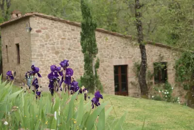 Studio enChianti au coeur de la Toscane, très grande piscine, propriété de 14 ha