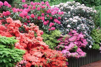 Image de Oasis de bien-être Bückeburg