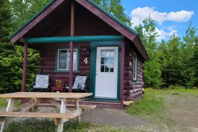 Image de Cabane moderne située dans les bouleaux et les pins du centre du Maine.