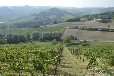Image de Vue Panoramique, Relaxant, Bike, Fine-Food, Vin Et Plus. Chambres d'hĂ´tes Ă Alba