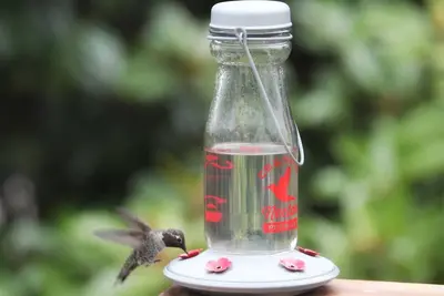 Image de Victorien dans un grand quartier entre Mission et Castro