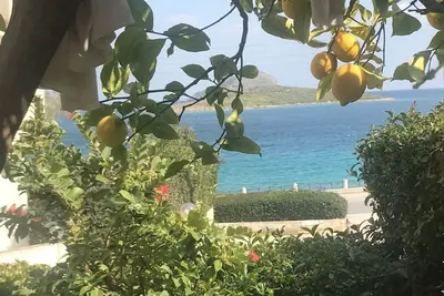 Image de Jardin paisible sur la mer