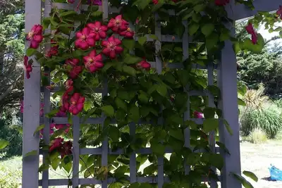 Image de Petite Maison à l'Aber Wrac'H charme de la campagne et de la mer.