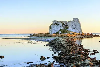 Image de Charmante maison dans le parc naturel du delta de l'Èbre, entourée de rizières