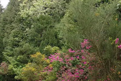 Image de Quinta de Santo AntĂłnio da Serra